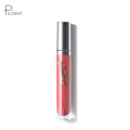 High Quality Cosmetic Waterproof Lipstick Long Lasting Lipstick  Private Label Lipgloss